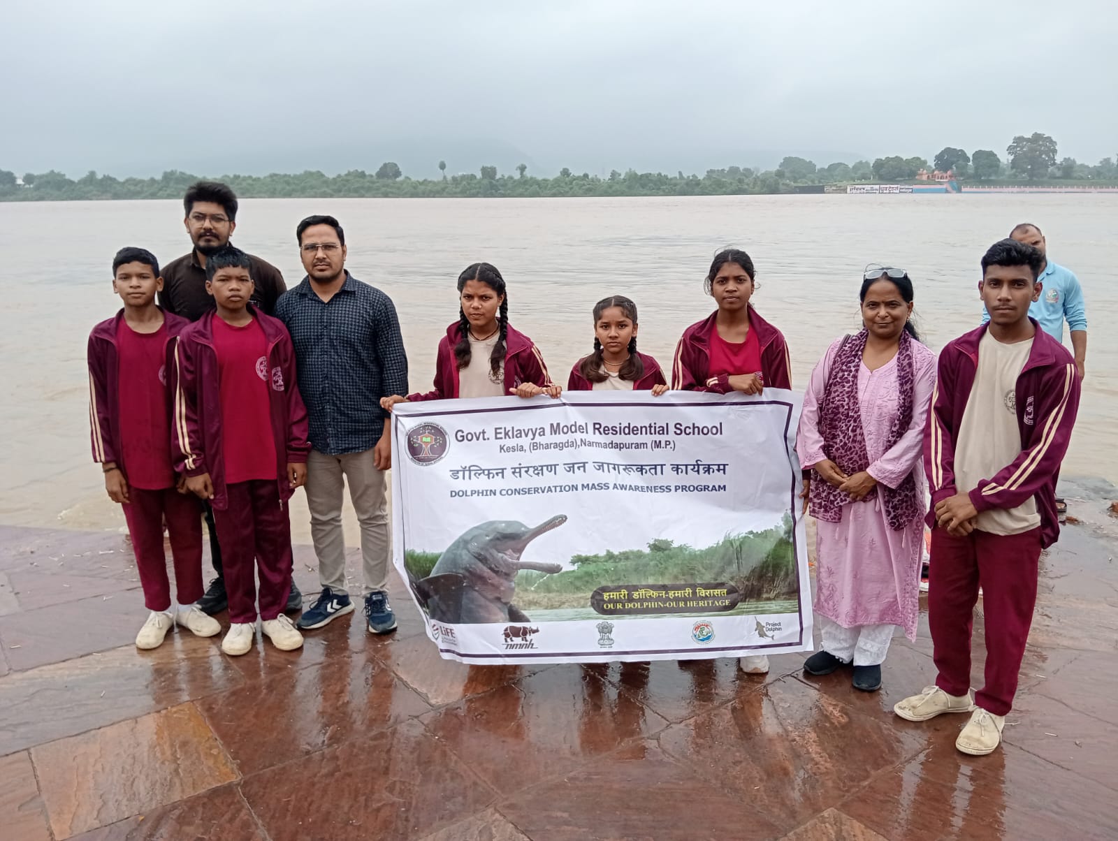 Dolphin Awarness Prog